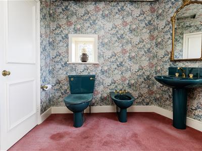 Picture 38